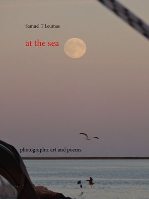 cover image of at the sea